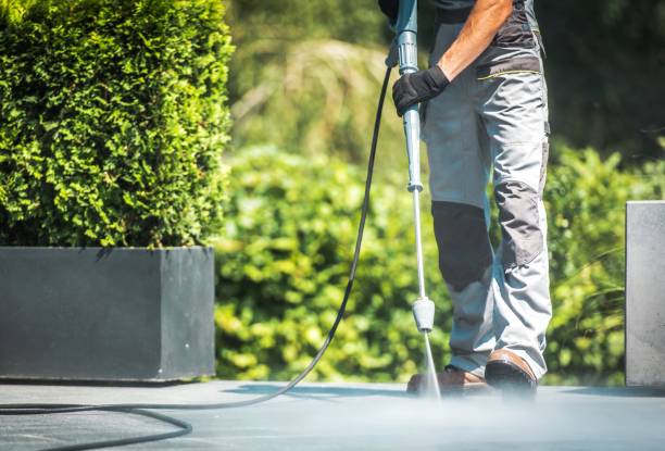 Animal Enclosure Cleaning in Homer, IL